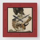 Search for red tail hawk art Buteo jamaicensis