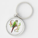 Search for conure keychains Green cheeked conure