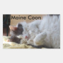 Search for maine coon cat stickers Cute