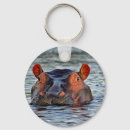 Search for hippopotamus keychains African animal
