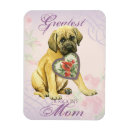 Search for mastiffs magnets Heart