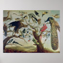 Recherche de oiseau chanteur posters Arbre