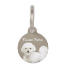 Recherche de frise de bichon Dogs