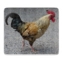 Recherche de coq planches à découper Conseil