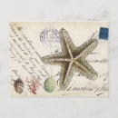 Search for vintage seashell postcards Starfish