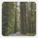 Search for road stickers Landscape
