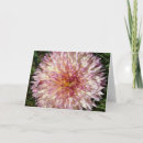 Search for spiky Flower