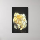 Search for calcium art Natural sciences