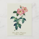 Search for happy birthday rose postcards Floral