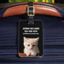 Search for ginger accessories Pet
