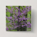 Search for purple tree buttons Landscape