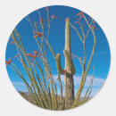 Search for saguaro cactus stickers Saguaro national park