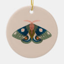 Search for moth ornaments Insects