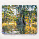 Search for cypress tree mousepads Forest