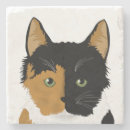 Search for calico cat coasters Animals