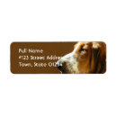 Search for basset hound return address labels Pet