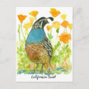 Recherche de watercolor bird cartes postales Pour tous