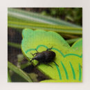 Search for beetle puzzles Garden