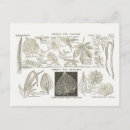 Recherche de description postcards cartes postales France