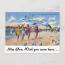 Search for gull postcards Tropical
