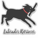 Search for cute labrador retriever Dog