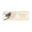 Search for bluebird return address labels Tree