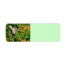 Search for insects return address labels Yellow