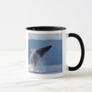 Recherche de etats unis alaska Nature