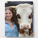 Recherche de vache plaques Bétail