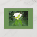 Recherche de sucette cartes visite Vert