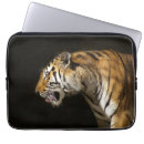 Search for siberian tigers electronics Cat