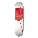 Search for 2 colour skateboards Artist