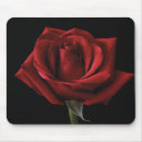 Search for rose petal electronics Roses