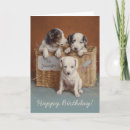 Search for baskets cards For kids