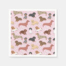 Recherche de dachshund serviettes Mignon