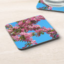 Recherche de fleurs roses dessous de verres Fleurir