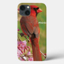 Search for red birds ipad cases Cardinal