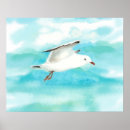 Recherche de mouettes art Océan