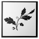 Search for acorn tiles Botanical