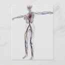 Search for circulatory system postcards Square image