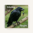 Recherche de corbeau photographie Nature