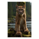 Recherche de coussin de de animal posters Pour eux