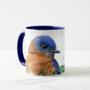 Search for eastern bluebird mugs Nature