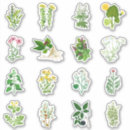 Recherche de camomille autocollants Herbe