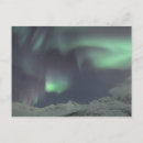Search for aws photography Evening