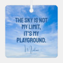 Search for sky ornaments Quote