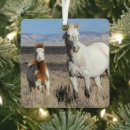 Search for brush ornaments Horse