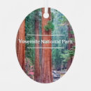 Search for yosemite ornaments Nature