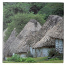 Search for vitis Hut