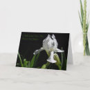 Search for christian sister cards Jesus